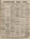 Sunderland Daily Echo and Shipping Gazette Wednesday 20 February 1878 Page 1