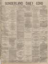 Sunderland Daily Echo and Shipping Gazette Friday 22 February 1878 Page 1