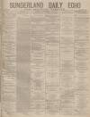 Sunderland Daily Echo and Shipping Gazette Friday 01 November 1878 Page 1