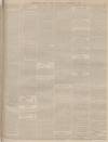 Sunderland Daily Echo and Shipping Gazette Saturday 02 November 1878 Page 3