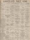 Sunderland Daily Echo and Shipping Gazette Tuesday 12 November 1878 Page 1