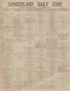 Sunderland Daily Echo and Shipping Gazette Friday 03 January 1879 Page 1