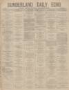 Sunderland Daily Echo and Shipping Gazette Wednesday 08 January 1879 Page 1
