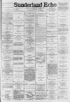 Sunderland Daily Echo and Shipping Gazette Friday 11 January 1884 Page 1
