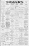 Sunderland Daily Echo and Shipping Gazette Friday 15 February 1884 Page 1