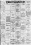 Sunderland Daily Echo and Shipping Gazette Tuesday 05 February 1884 Page 1