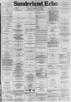 Sunderland Daily Echo and Shipping Gazette Friday 08 February 1884 Page 1