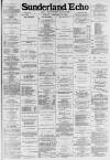 Sunderland Daily Echo and Shipping Gazette Tuesday 12 February 1884 Page 1