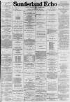 Sunderland Daily Echo and Shipping Gazette Friday 29 February 1884 Page 1