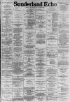 Sunderland Daily Echo and Shipping Gazette Saturday 19 July 1884 Page 1