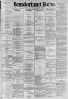Sunderland Daily Echo and Shipping Gazette Saturday 13 September 1884 Page 1