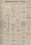 Sunderland Daily Echo and Shipping Gazette Saturday 24 April 1886 Page 1