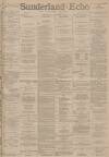 Sunderland Daily Echo and Shipping Gazette Wednesday 05 January 1887 Page 1
