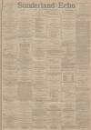 Sunderland Daily Echo and Shipping Gazette Friday 07 January 1887 Page 1