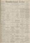 Sunderland Daily Echo and Shipping Gazette Friday 18 February 1887 Page 1