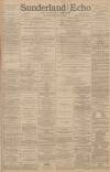 Sunderland Daily Echo and Shipping Gazette Monday 03 February 1890 Page 1