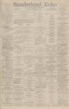 Sunderland Daily Echo and Shipping Gazette Friday 20 February 1891 Page 1