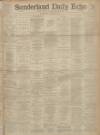 Sunderland Daily Echo and Shipping Gazette Wednesday 04 January 1893 Page 1