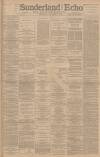 Sunderland Daily Echo and Shipping Gazette Wednesday 14 November 1894 Page 1