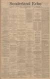 Sunderland Daily Echo and Shipping Gazette Friday 16 November 1894 Page 1