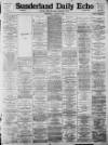 Sunderland Daily Echo and Shipping Gazette Wednesday 02 January 1895 Page 1