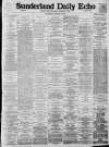 Sunderland Daily Echo and Shipping Gazette Thursday 03 January 1895 Page 1