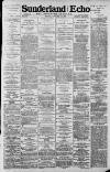 Sunderland Daily Echo and Shipping Gazette Friday 11 January 1895 Page 1