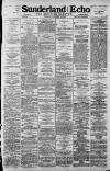 Sunderland Daily Echo and Shipping Gazette Monday 14 January 1895 Page 1