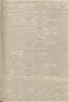 Sunderland Daily Echo and Shipping Gazette Friday 08 February 1901 Page 3