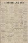 Sunderland Daily Echo and Shipping Gazette Wednesday 29 January 1902 Page 1