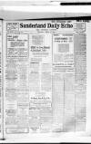 Sunderland Daily Echo and Shipping Gazette Tuesday 13 April 1920 Page 1