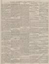 Portsmouth Evening News Saturday 28 December 1878 Page 3