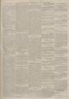 Portsmouth Evening News Friday 11 June 1880 Page 3