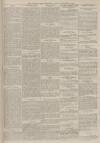 Portsmouth Evening News Friday 03 December 1880 Page 3