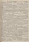 Portsmouth Evening News Tuesday 05 July 1881 Page 3