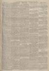 Portsmouth Evening News Wednesday 13 July 1881 Page 3