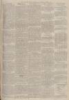 Portsmouth Evening News Saturday 16 July 1881 Page 3