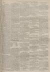 Portsmouth Evening News Friday 05 August 1881 Page 3