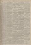 Portsmouth Evening News Monday 15 August 1881 Page 3