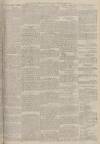 Portsmouth Evening News Friday 09 September 1881 Page 3