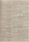 Portsmouth Evening News Friday 18 November 1881 Page 3