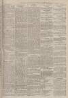 Portsmouth Evening News Friday 25 November 1881 Page 3