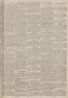 Portsmouth Evening News Saturday 26 November 1881 Page 3