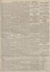 Portsmouth Evening News Friday 03 March 1882 Page 3