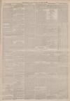 Portsmouth Evening News Friday 29 January 1886 Page 3