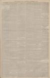 Portsmouth Evening News Thursday 23 December 1886 Page 3