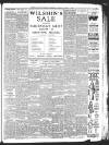 Hastings and St Leonards Observer Saturday 07 January 1933 Page 15