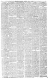 Dundee Advertiser Saturday 24 January 1885 Page 7