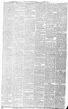 Dundee Advertiser Tuesday 10 February 1885 Page 7