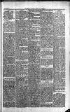 Wells Journal Thursday 06 February 1879 Page 3